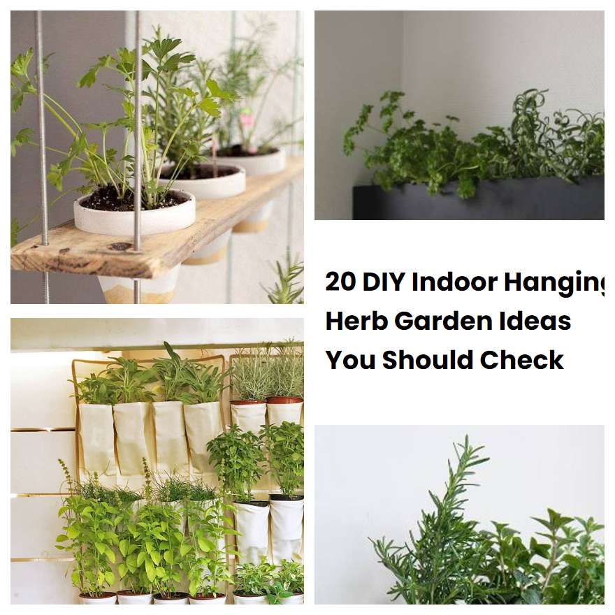 20 DIY Indoor Hanging Herb Garden Ideas You Should Check