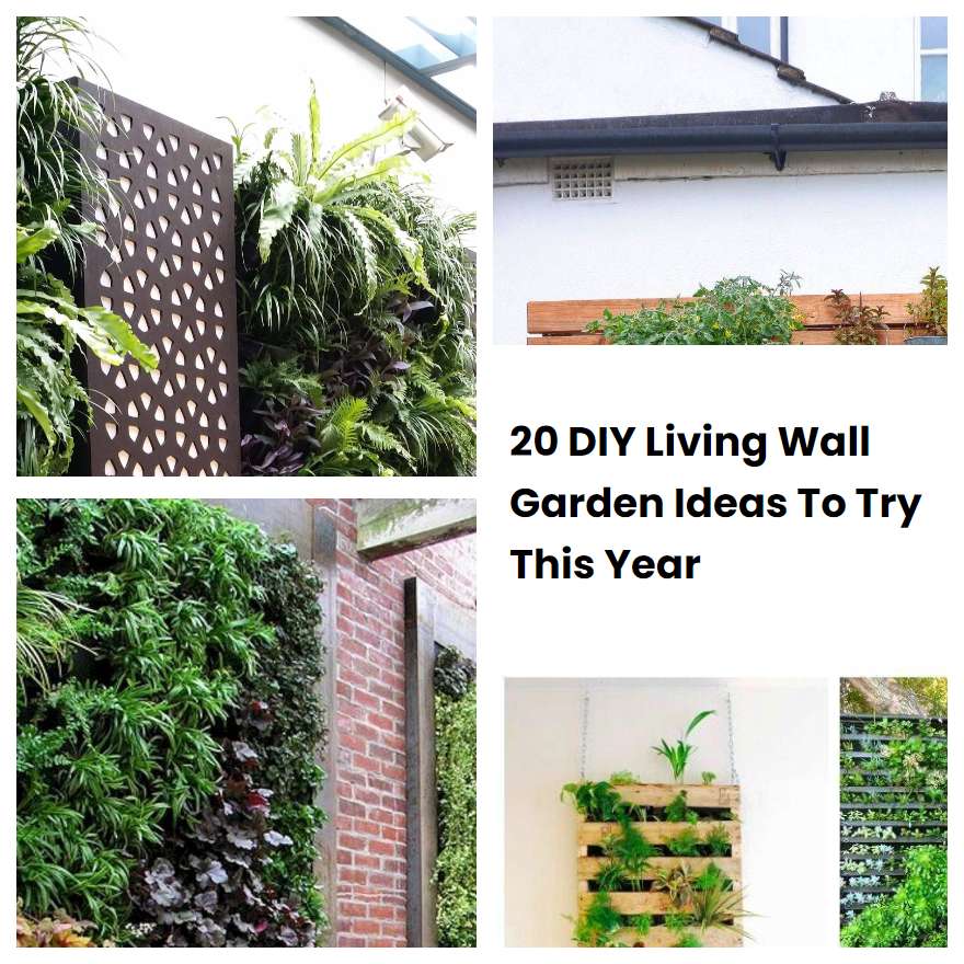 20 DIY Living Wall Garden Ideas To Try This Year