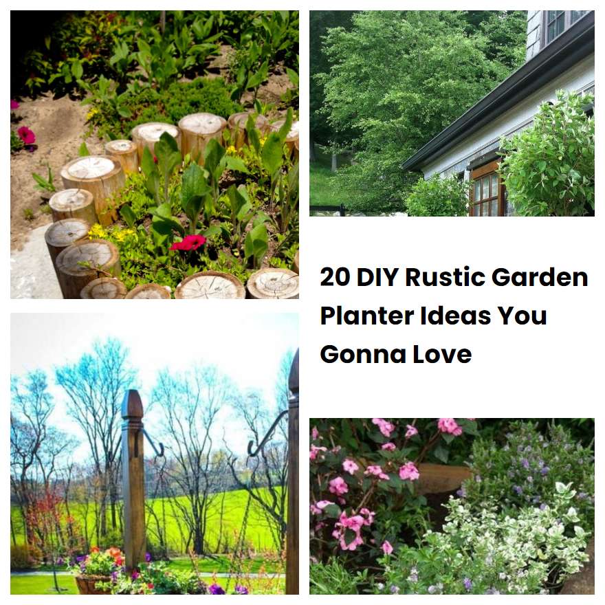 20 DIY Rustic Garden Planter Ideas You Gonna Love