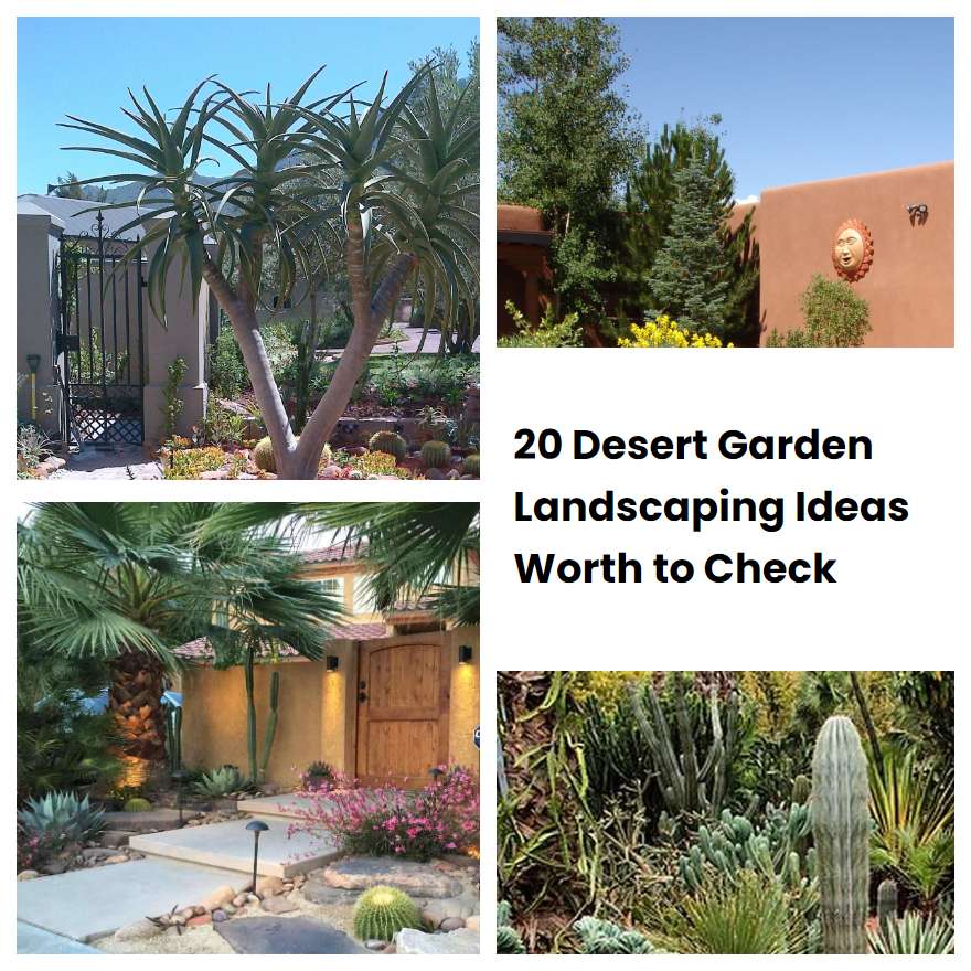 20 Desert Garden Landscaping Ideas Worth to Check