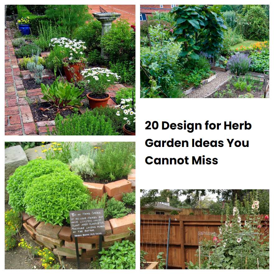 20 Design for Herb Garden Ideas You Cannot Miss | SharonSable