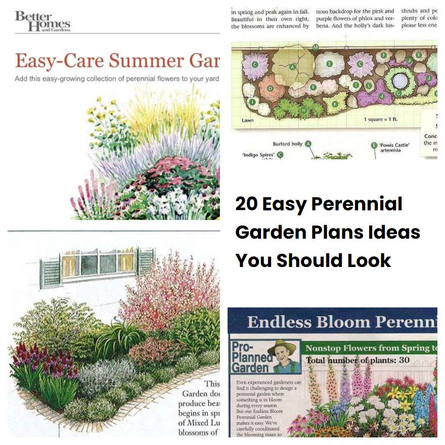 20 Easy Perennial Garden Plans Ideas You Should Look
