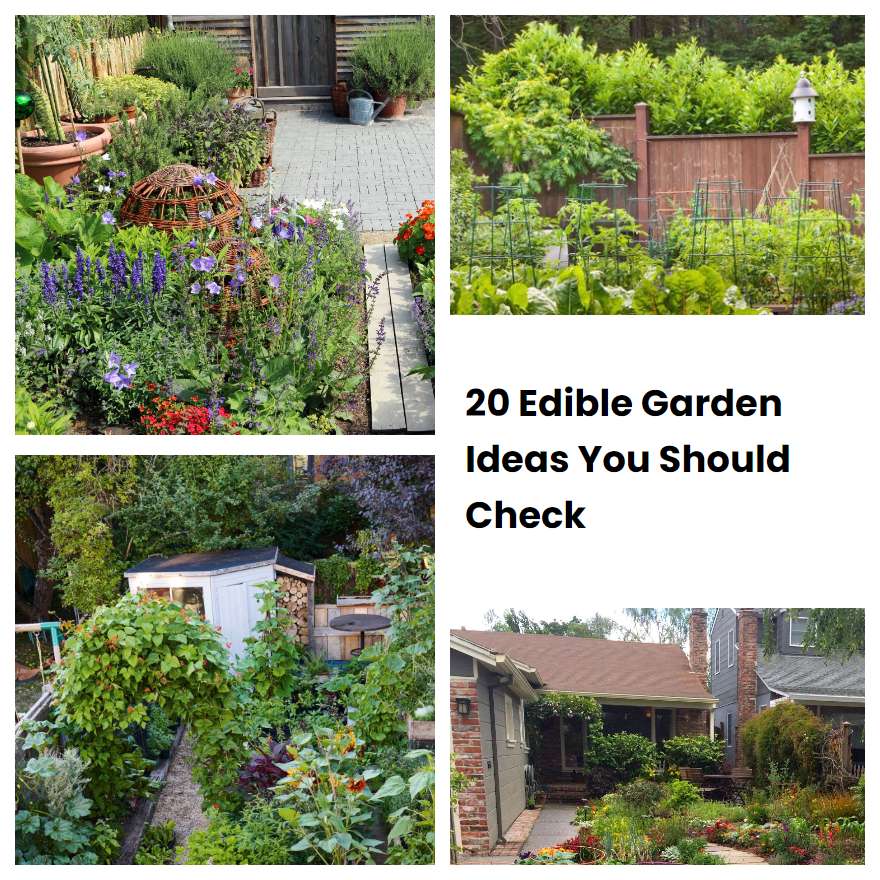 20 Edible Garden Ideas You Should Check