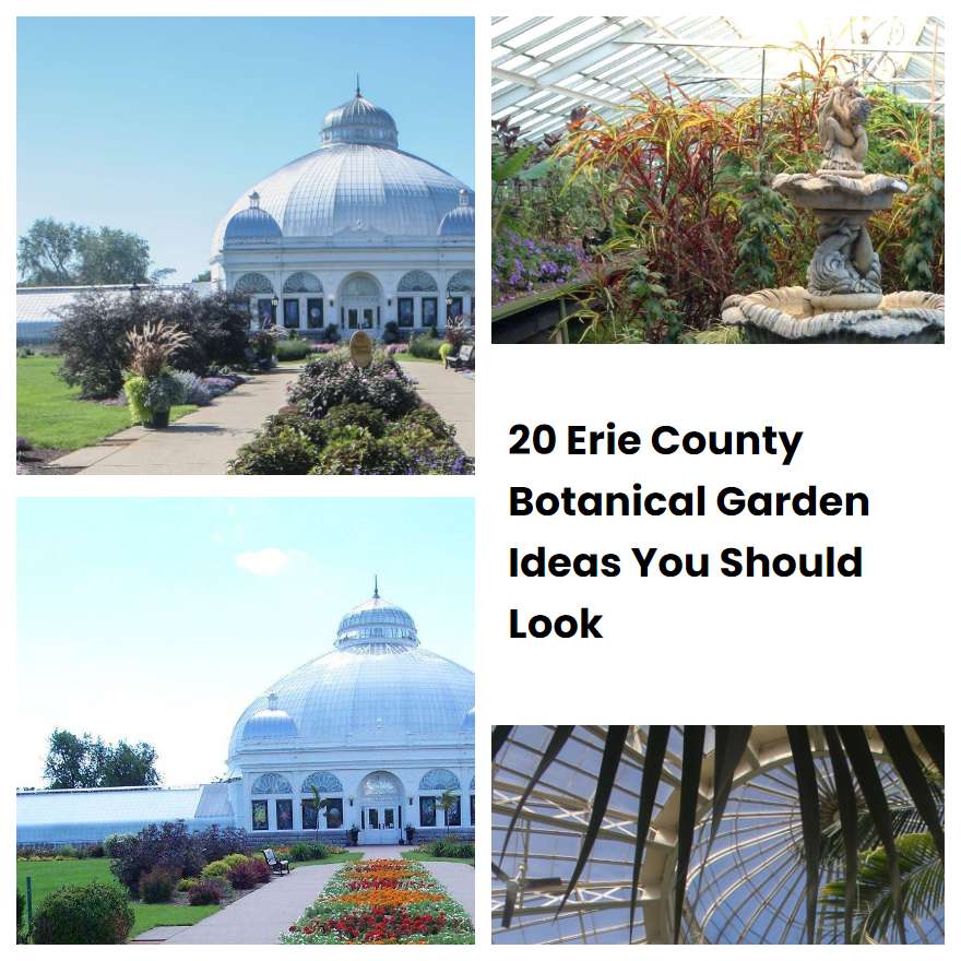 20 Erie County Botanical Garden Ideas You Should Look