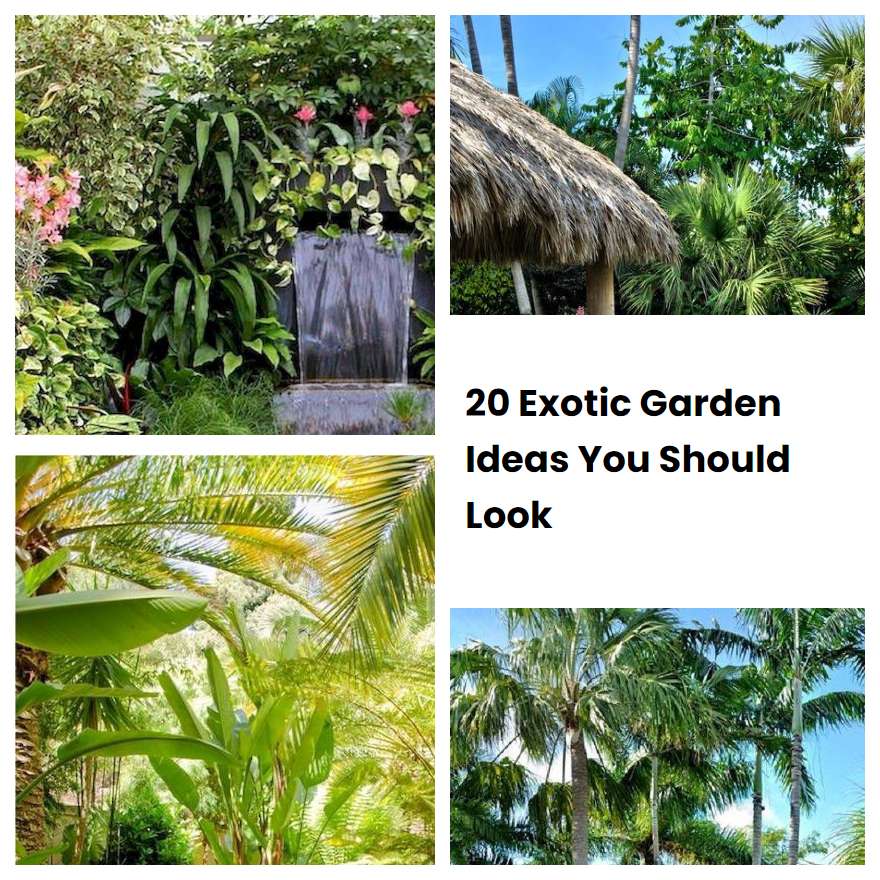 20 Exotic Garden Ideas You Should Look