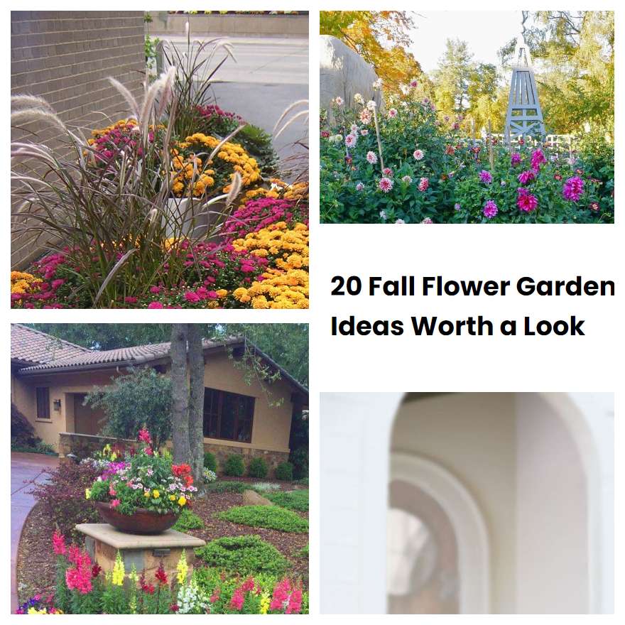 20 Fall Flower Garden Ideas Worth a Look