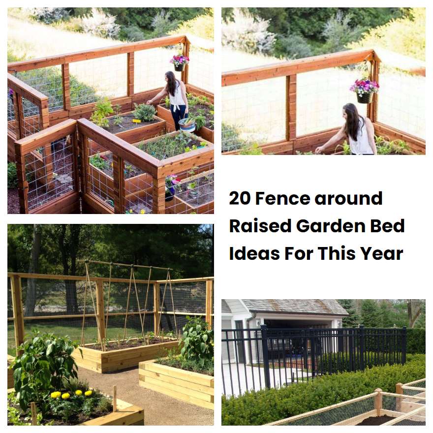 20 Fence around Raised Garden Bed Ideas For This Year SharonSable