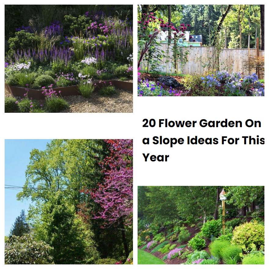 20 Flower Garden On a Slope Ideas For This Year SharonSable