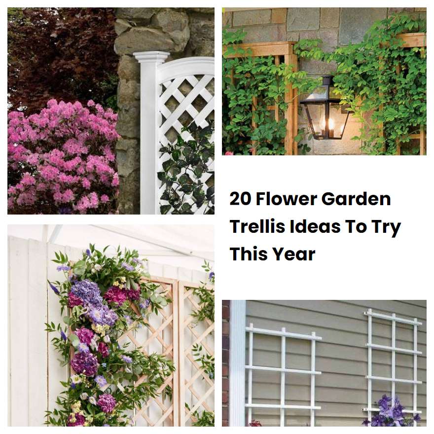20 Flower Garden Trellis Ideas To Try This Year SharonSable