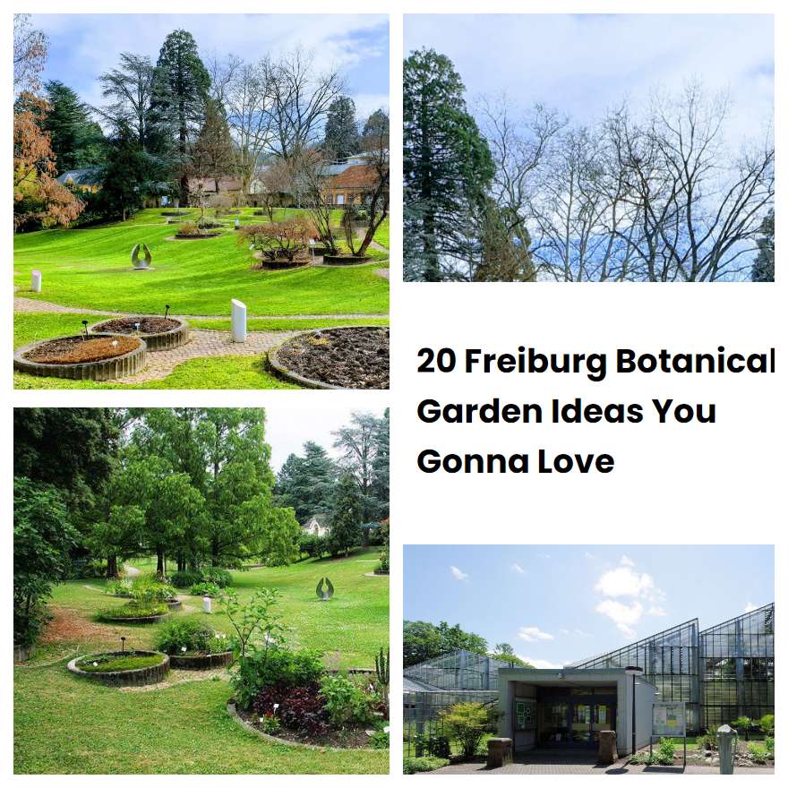 20 Freiburg Botanical Garden Ideas You Gonna Love SharonSable