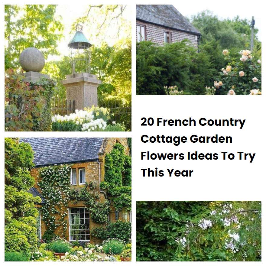 20 French Country Cottage Garden Flowers Ideas To Try This Year