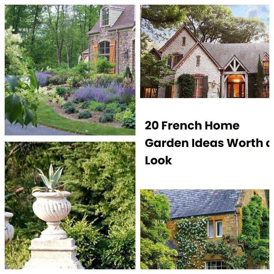 20 French Home Garden Ideas Worth a Look