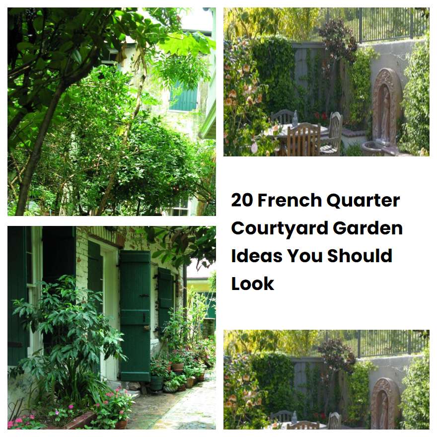 20 French Quarter Courtyard Garden Ideas You Should Look