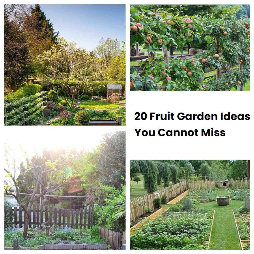 20 Fruit Garden Ideas You Cannot Miss