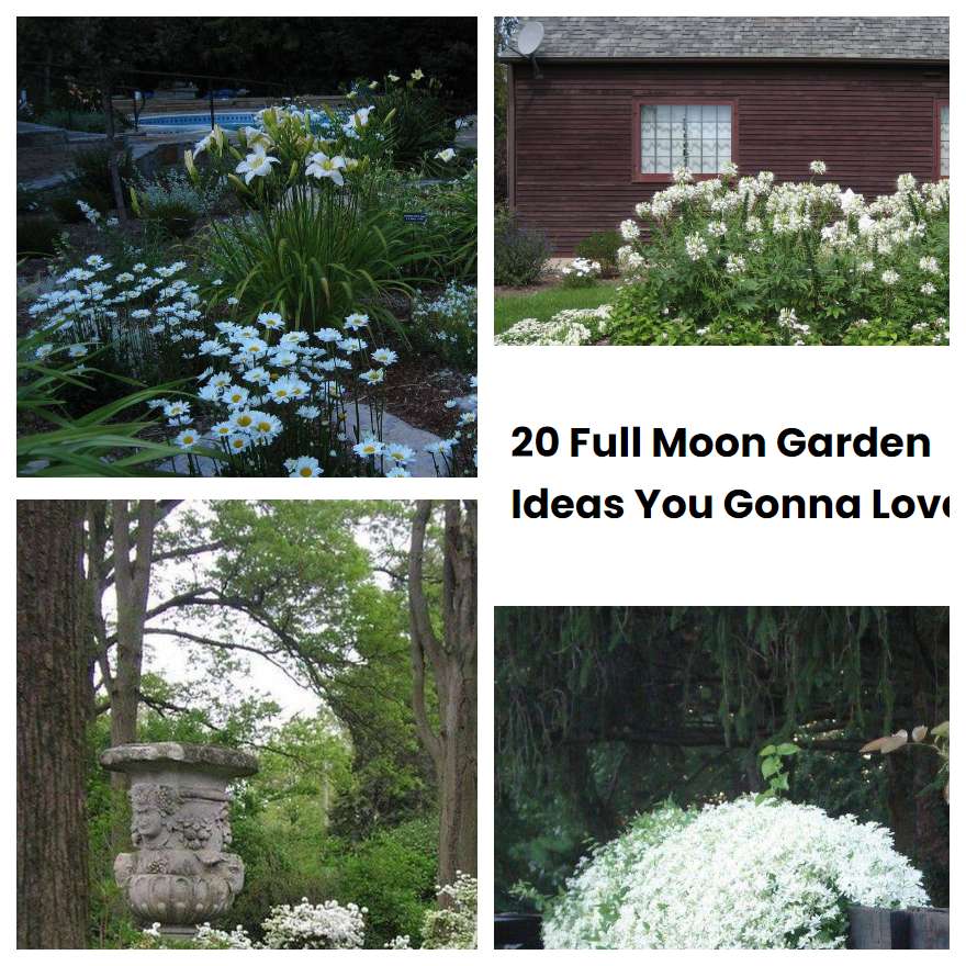 20 Full Moon Garden Ideas You Gonna Love