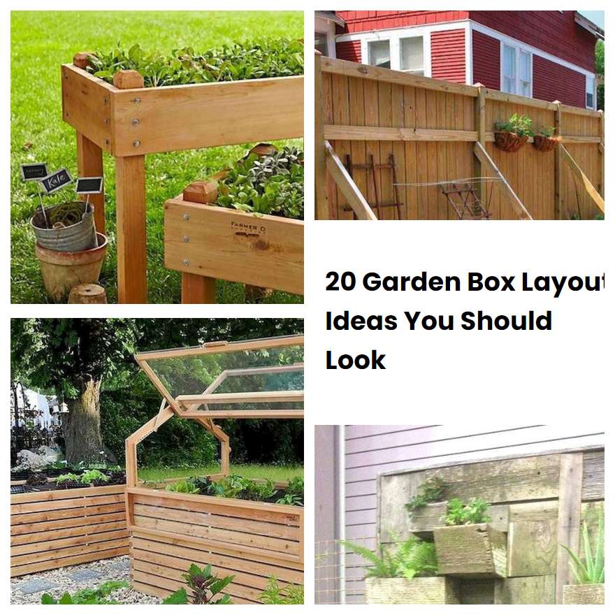 20 Garden Box Layout Ideas You Should Look SharonSable