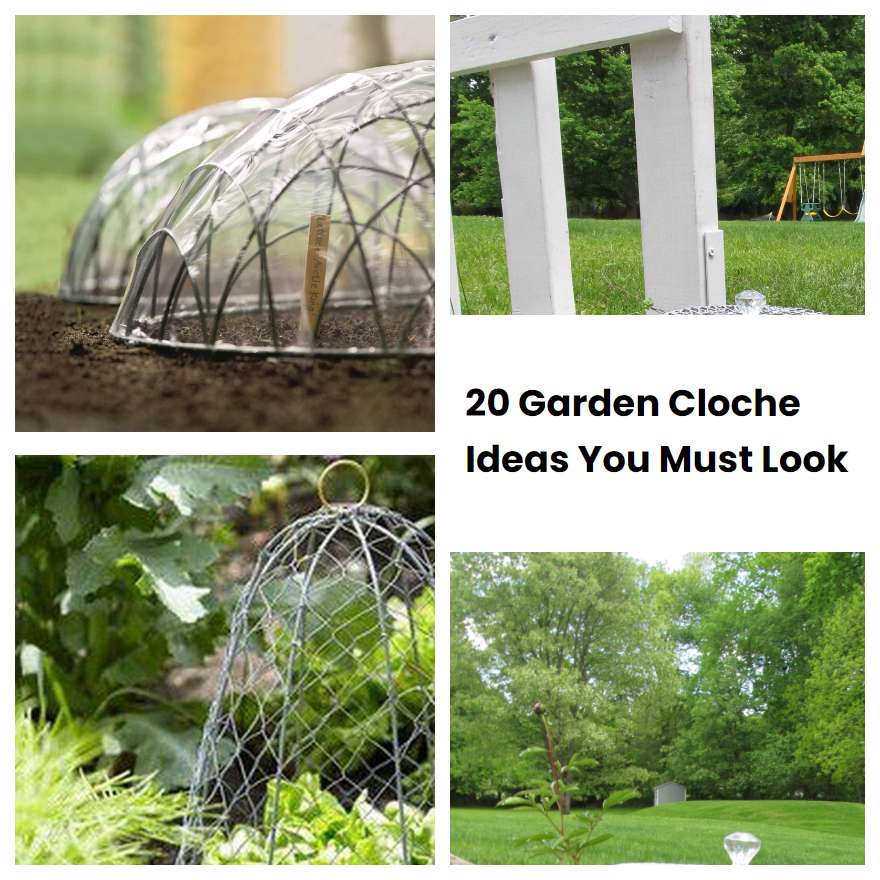20 Garden Cloche Ideas You Must Look SharonSable