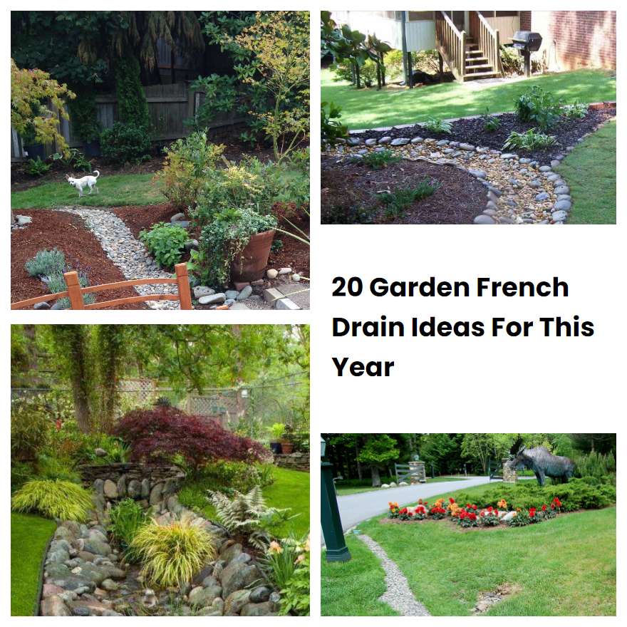 20 Garden French Drain Ideas For This Year SharonSable