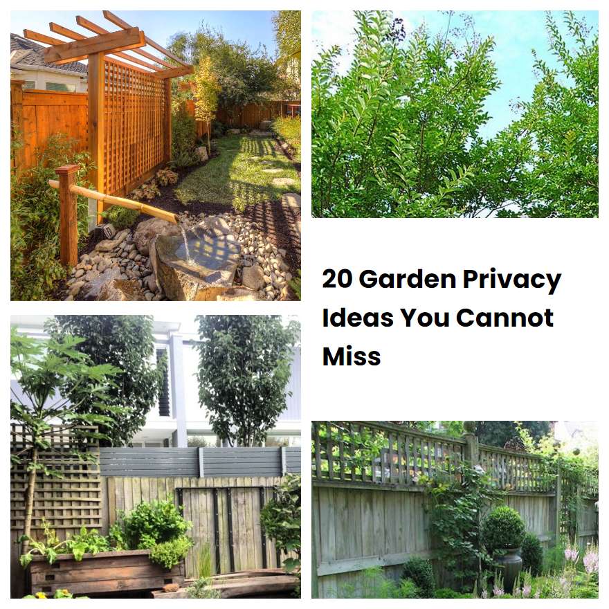 20 Garden Privacy Ideas You Cannot Miss