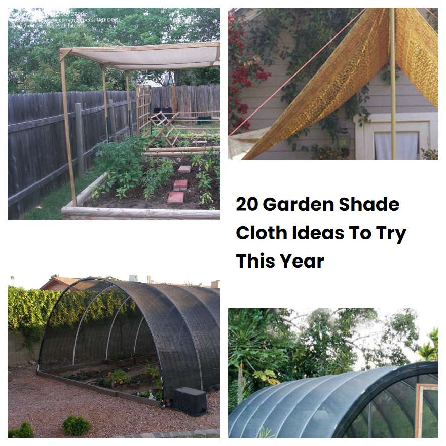 20 Garden Shade Cloth Ideas To Try This Year SharonSable
