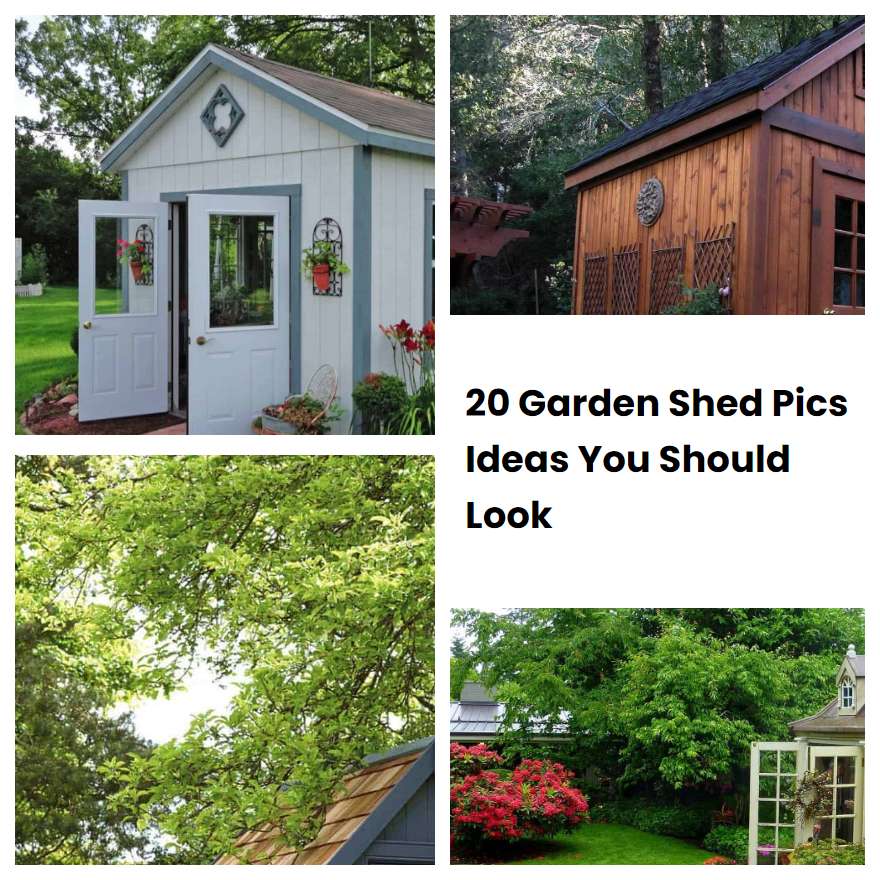 20 Garden Shed Pics Ideas You Should Look