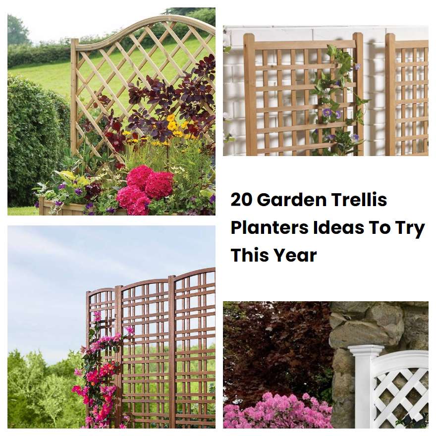 20 Garden Trellis Planters Ideas To Try This Year SharonSable