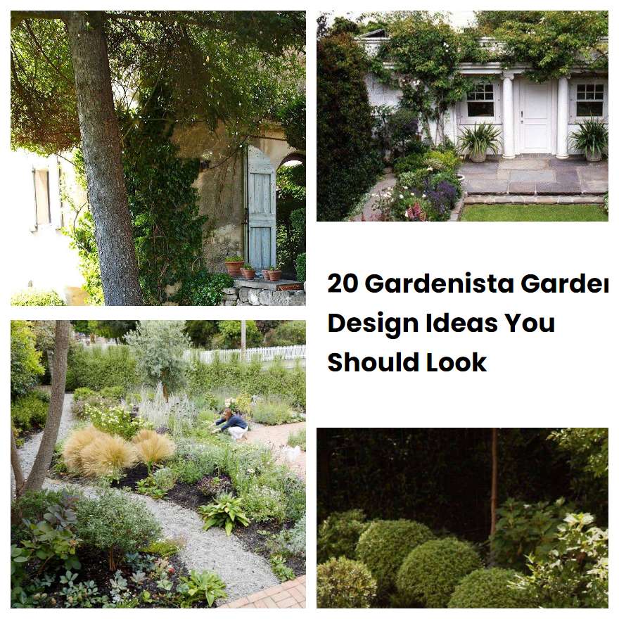 20 Gardenista Garden Design Ideas You Should Look