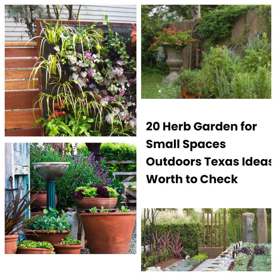 20 Herb Garden for Small Spaces Outdoors Texas Ideas Worth to Check