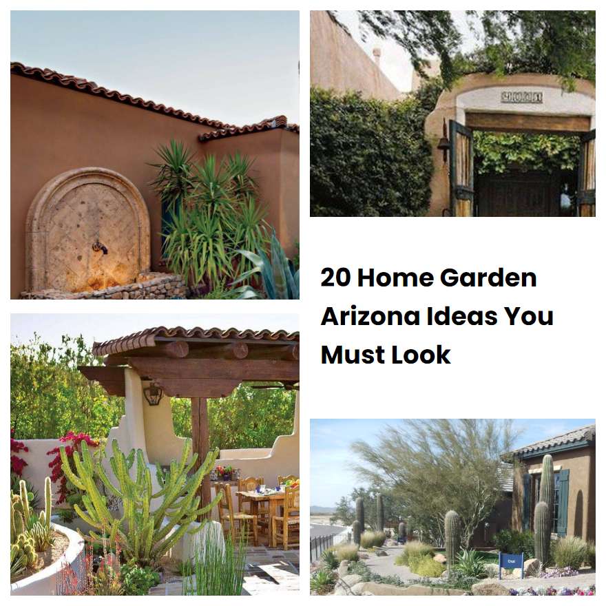 20 Home Garden Arizona Ideas You Must Look