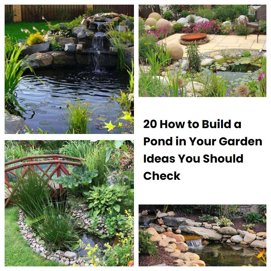 20 How to Build a Pond in Your Garden Ideas You Should Check SharonSable