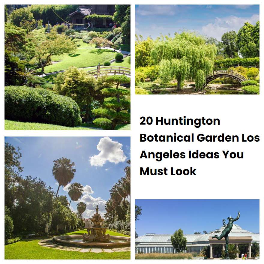20 Huntington Botanical Garden Los Angeles Ideas You Must Look