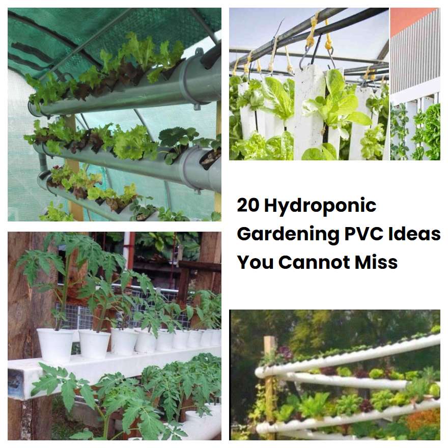 20 Hydroponic Gardening PVC Ideas You Cannot Miss SharonSable