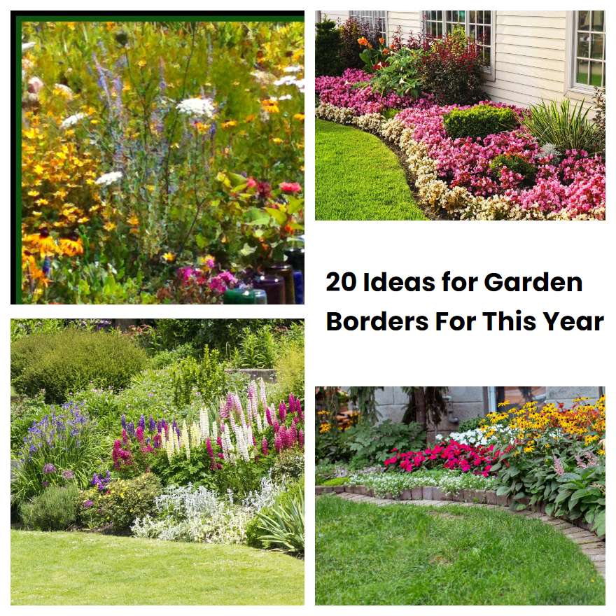 20 Ideas for Garden Borders For This Year