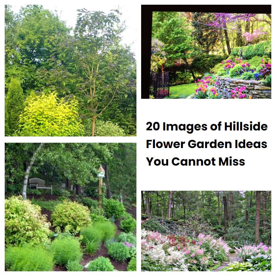 20 Images of Hillside Flower Garden Ideas You Cannot Miss