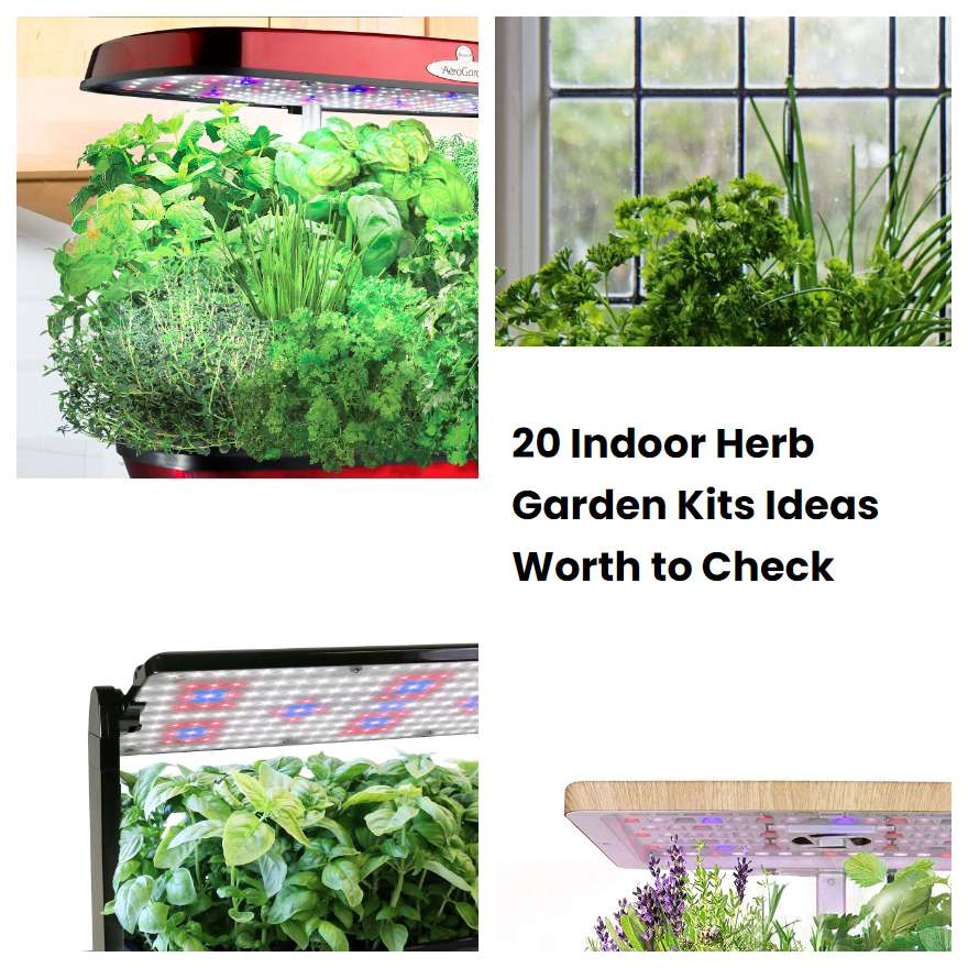 20 Indoor Herb Garden Kits Ideas Worth to Check SharonSable