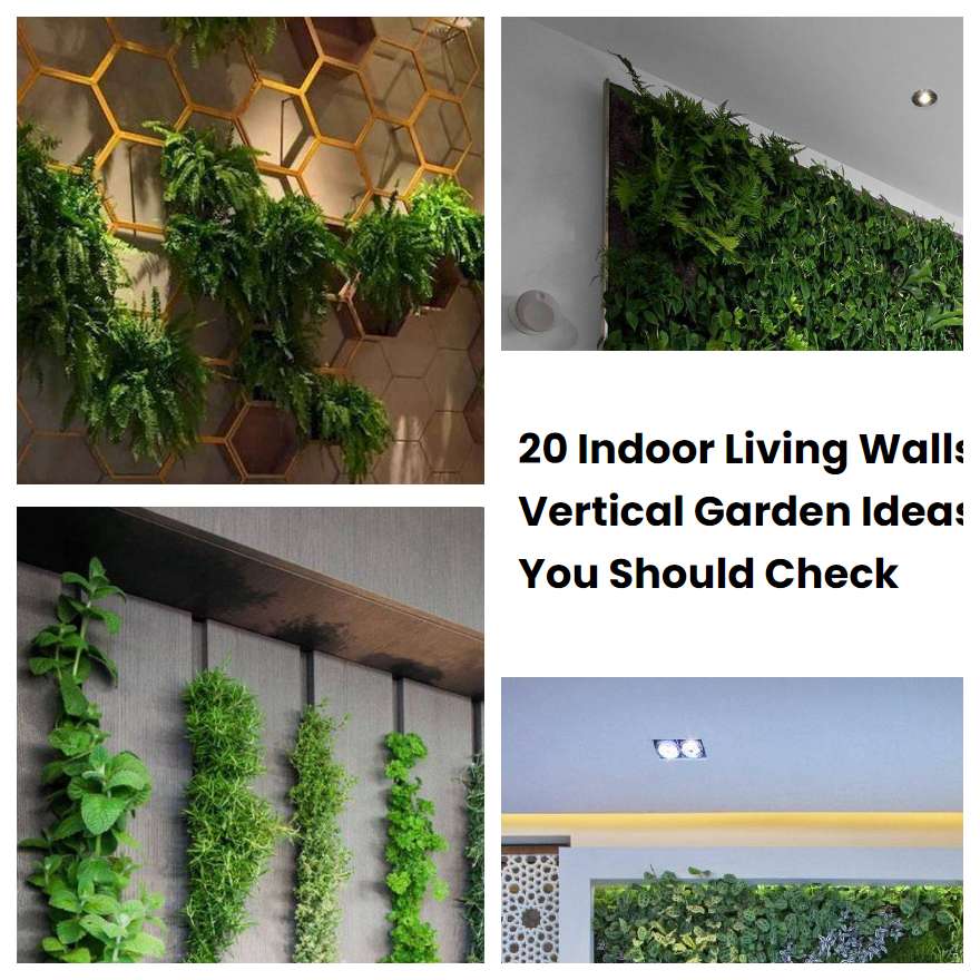 20 Indoor Living Walls Vertical Garden Ideas You Should Check