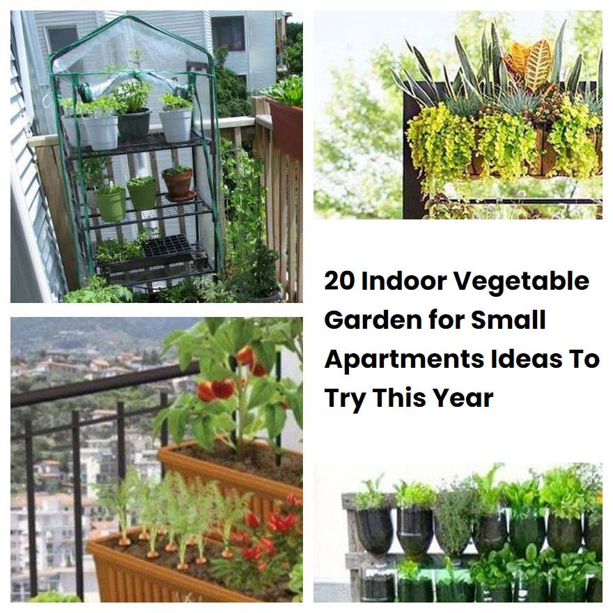 20 Indoor Vegetable Garden for Small Apartments Ideas To Try This Year