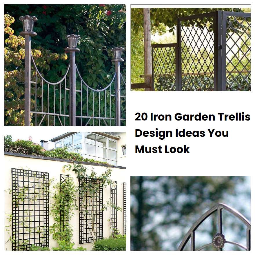 20 Iron Garden Trellis Design Ideas You Must Look