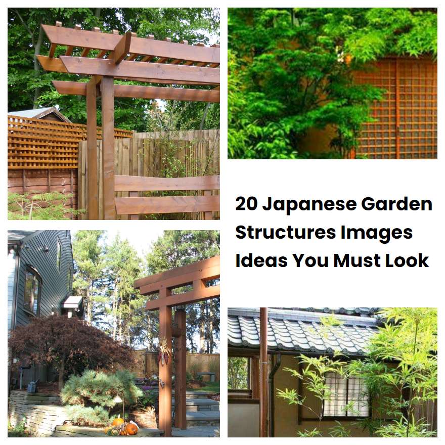 20 Japanese Garden Structures Images Ideas You Must Look