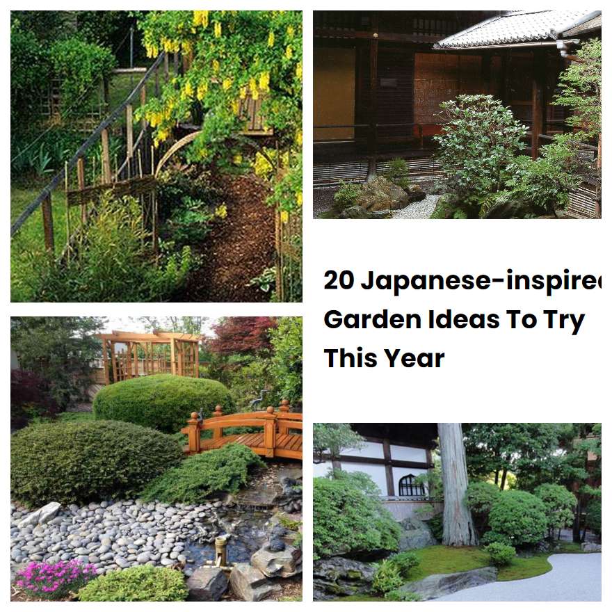 20 Japanese-inspired Garden Ideas To Try This Year