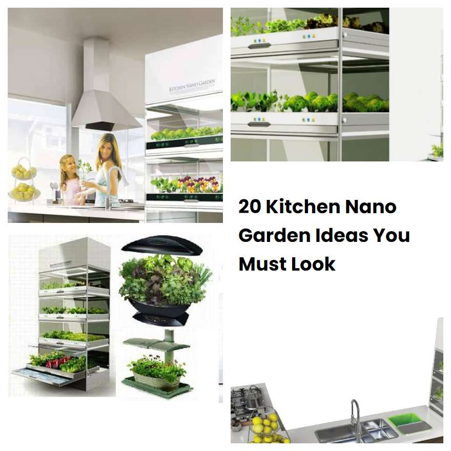 20 Kitchen Nano Garden Ideas You Must Look SharonSable