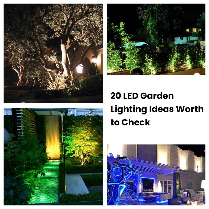 20 LED Garden Lighting Ideas Worth to Check SharonSable