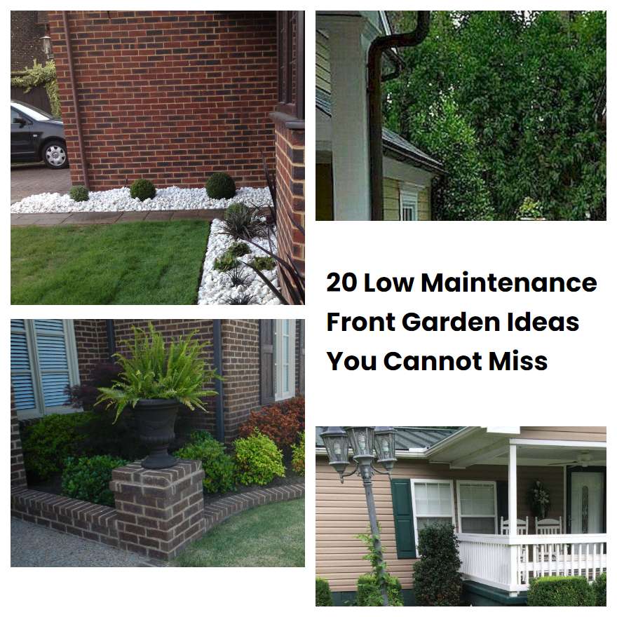 20 Low Maintenance Front Garden Ideas You Cannot Miss