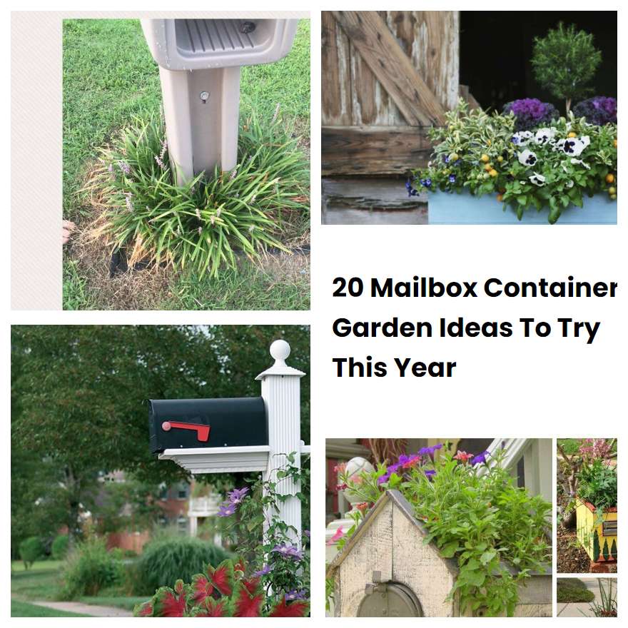 20 Mailbox Container Garden Ideas To Try This Year SharonSable