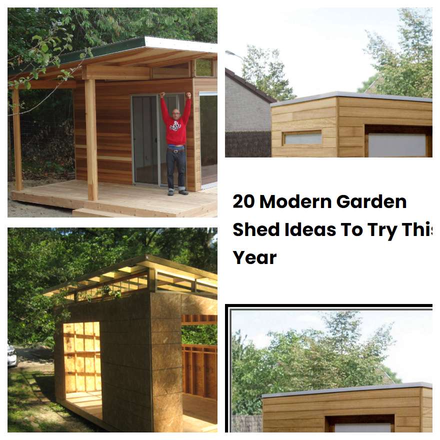 20 Modern Garden Shed Ideas To Try This Year | SharonSable