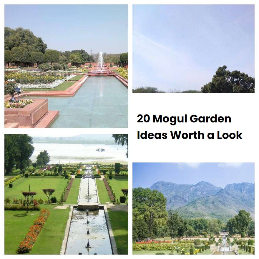 20 Mogul Garden Ideas Worth a Look