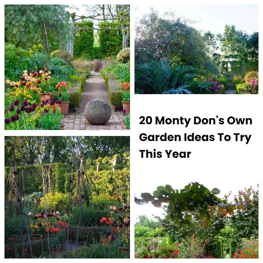 20 Monty Don's Own Garden Ideas To Try This Year