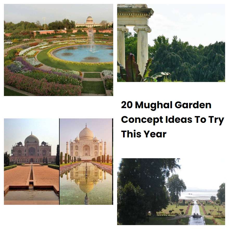 20 Mughal Garden Concept Ideas To Try This Year