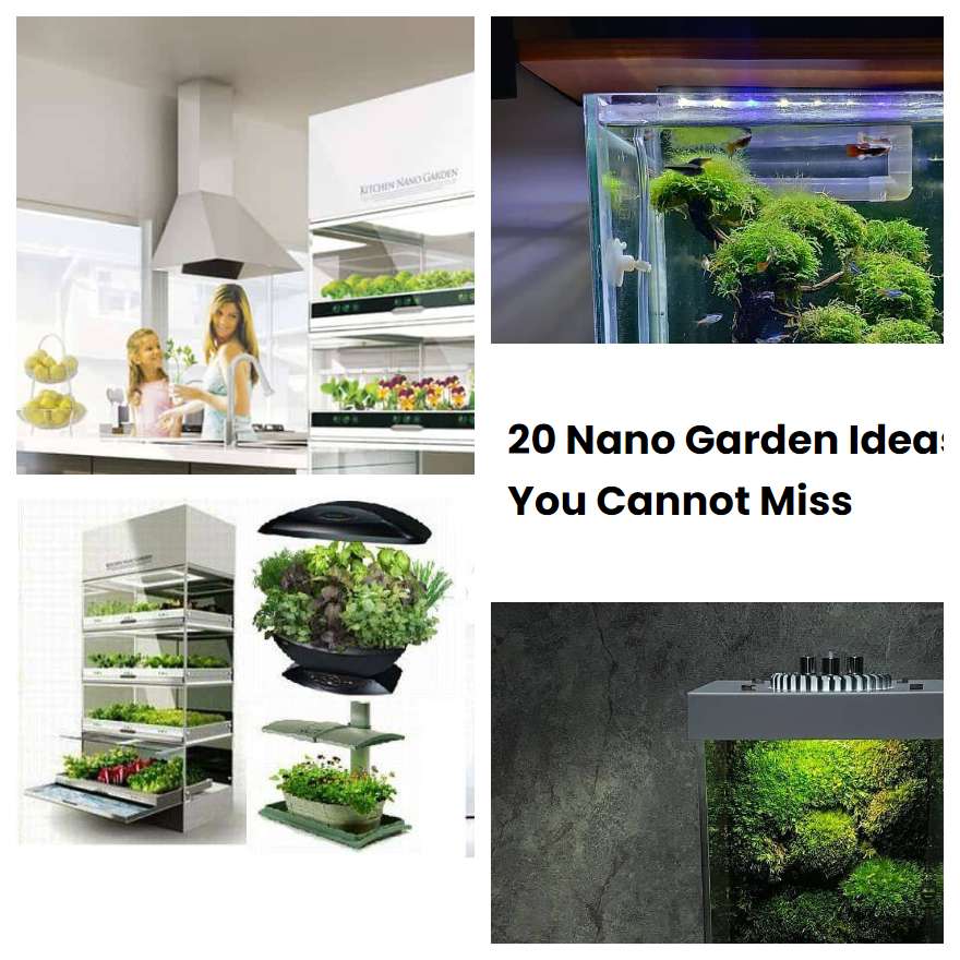 20 Nano Garden Ideas You Cannot Miss SharonSable