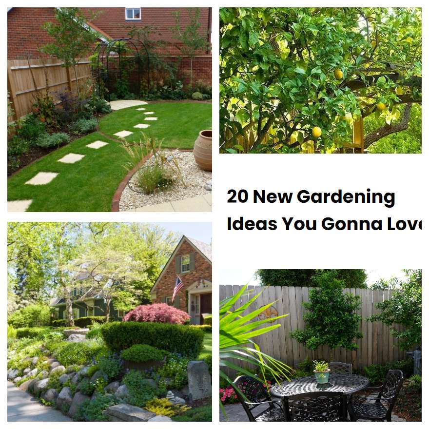 20 New Gardening Ideas You Gonna Love SharonSable